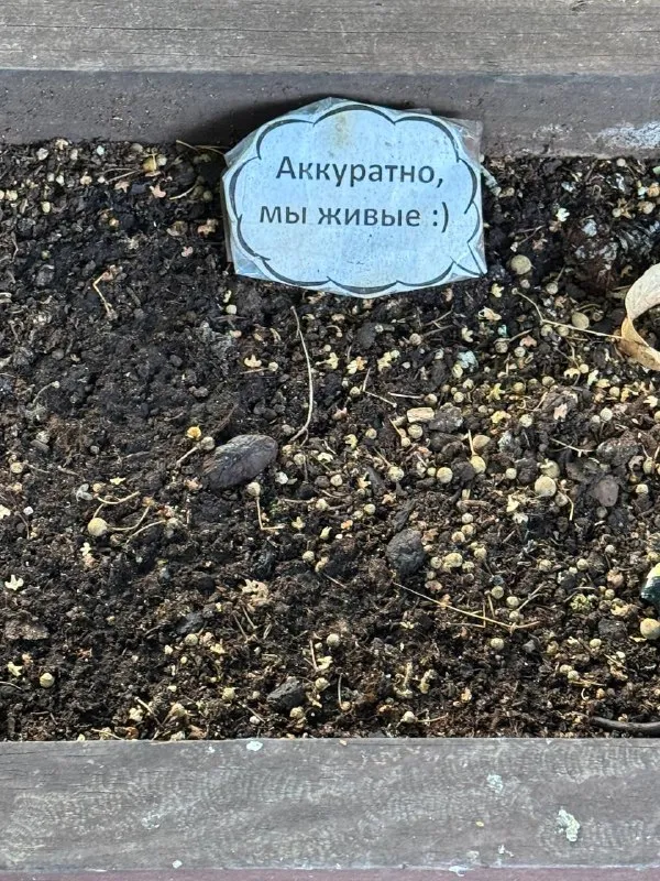 Табличка «Аккуратно, мы живые :)» на газоне