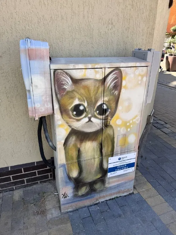 Шкаф с котёнком с большими глазами