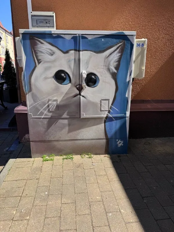 Шкаф с белым котом на синем фоне