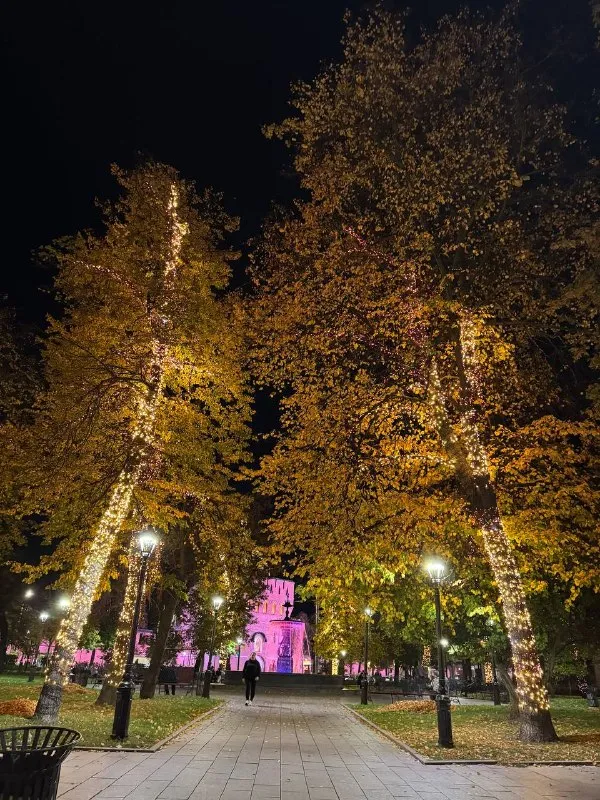 Аллея с деревьями в гирляндах